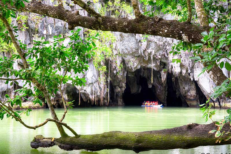 vuon quoc gia song ngam puerto princesa